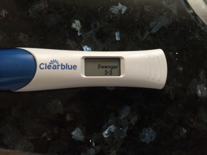 legaal Woedend spoelen Clearblue Zwangerschapstest | bekijk de testresultaten van andere vrouwen  van de Clearblue digitaal