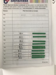 Klik voor vergroting